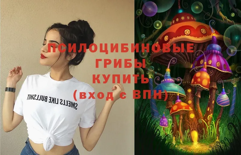 Галлюциногенные грибы Cubensis  купить закладку  МЕГА зеркало  Каменногорск 